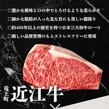 【新商品販売記念ＳＡＬＥ】近江牛　粗挽ジューシーハンバーグ3kg 新商品販売記念SALE】近江牛 粗挽ジューシーハンバーグ3kg